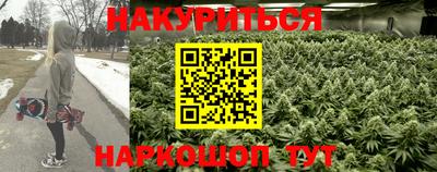 ПСИЛОЦИБИНОВЫЕ ГРИБЫ Коммунар