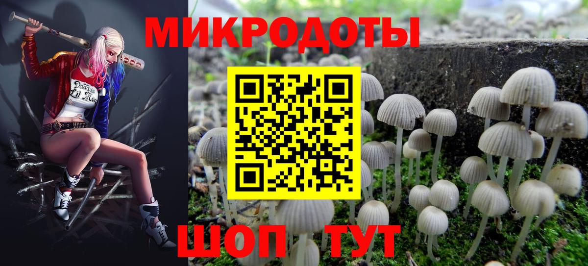 Псилоцибиновые грибы прущие грибы Ейск
