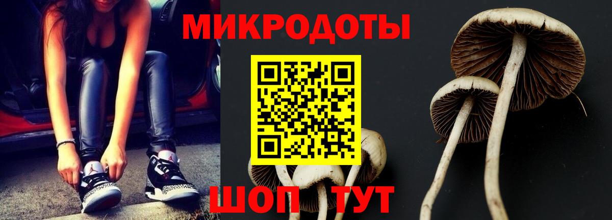 Галлюциногенные грибы Psilocybe  Псилоцибиновые грибы Magic Shrooms  Вход с VPN  Ейск 